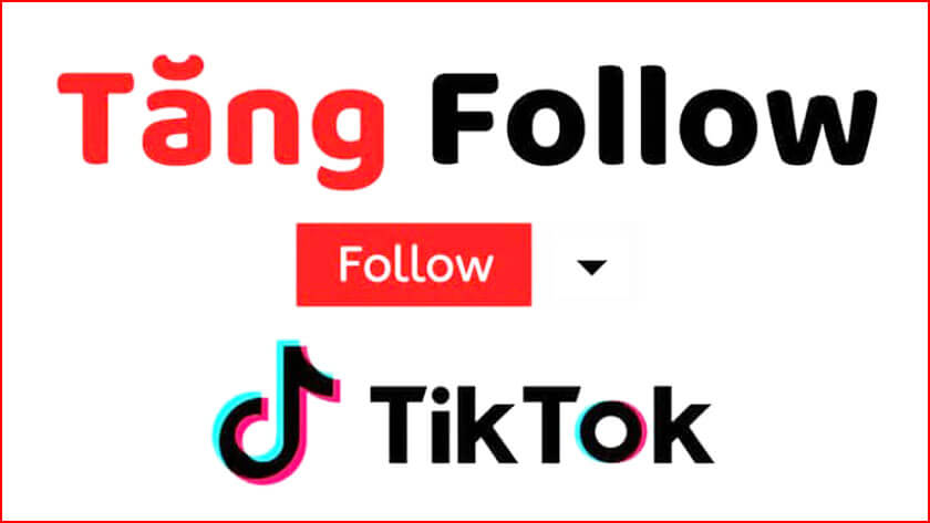 Mua fl TikTok đơn vị Công Công